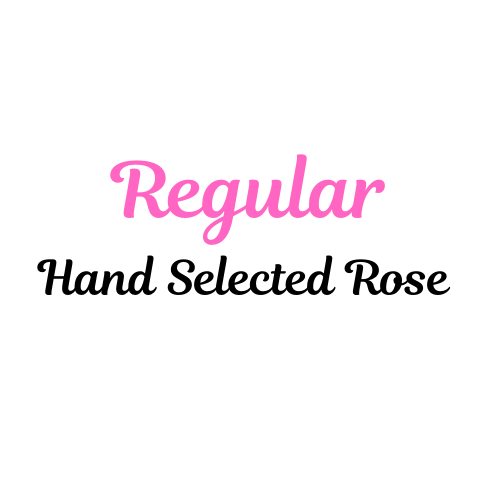 Regular Hand-Selected Rose