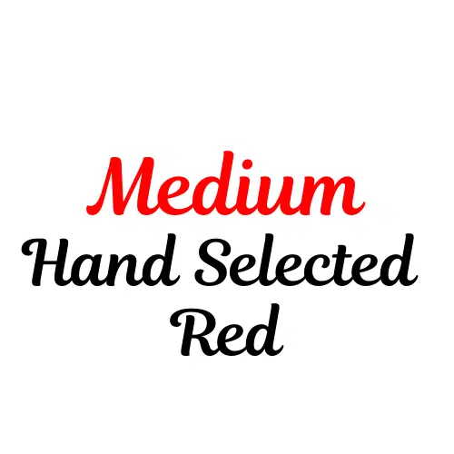 Medium Hand Selected Red